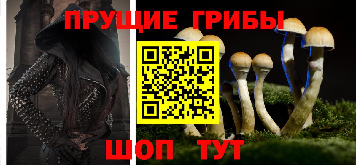 Псилоцибиновые грибы Psilocybine cubensis  Вход с VPN  Новоалександровск 